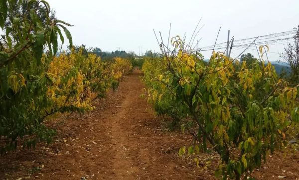 一亩地怎么换算平方米,面积换算公式大全一亩地多少平方