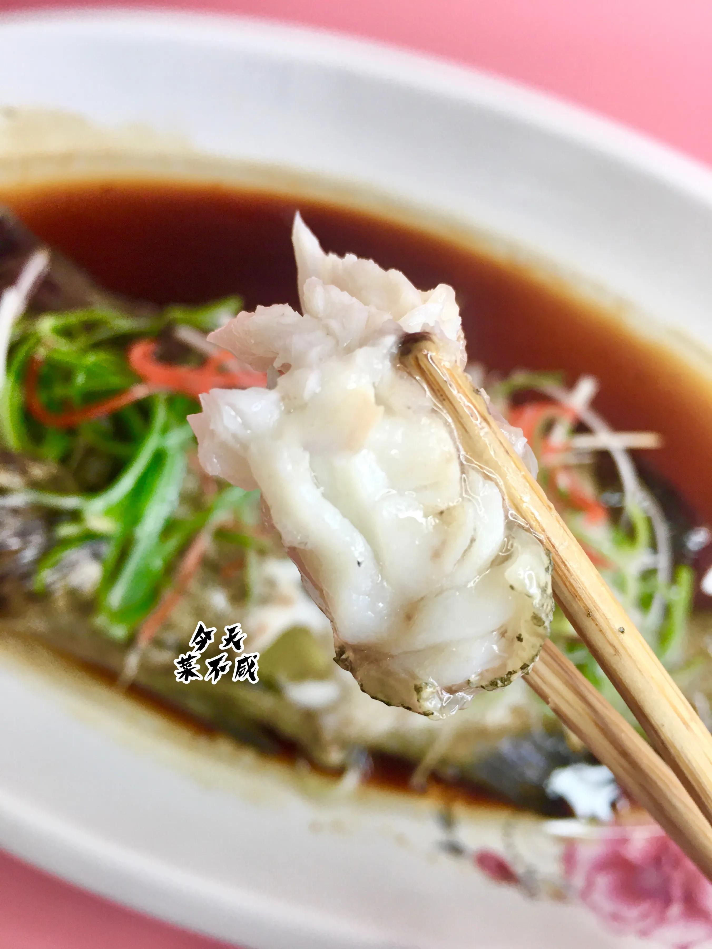 石斑鱼冷水蒸鱼还是开水蒸鱼好啊,石斑鱼蒸鱼切花刀盘圆视频教程