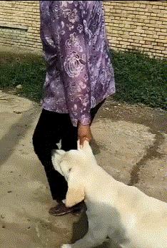 不联系的同学借钱怎么高情商回复,怎么回复借钱的同学