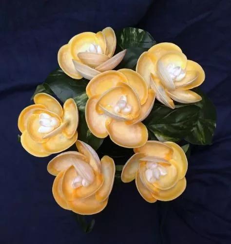 海边捡的贝壳可以做什么手工,贝壳创意手工种花