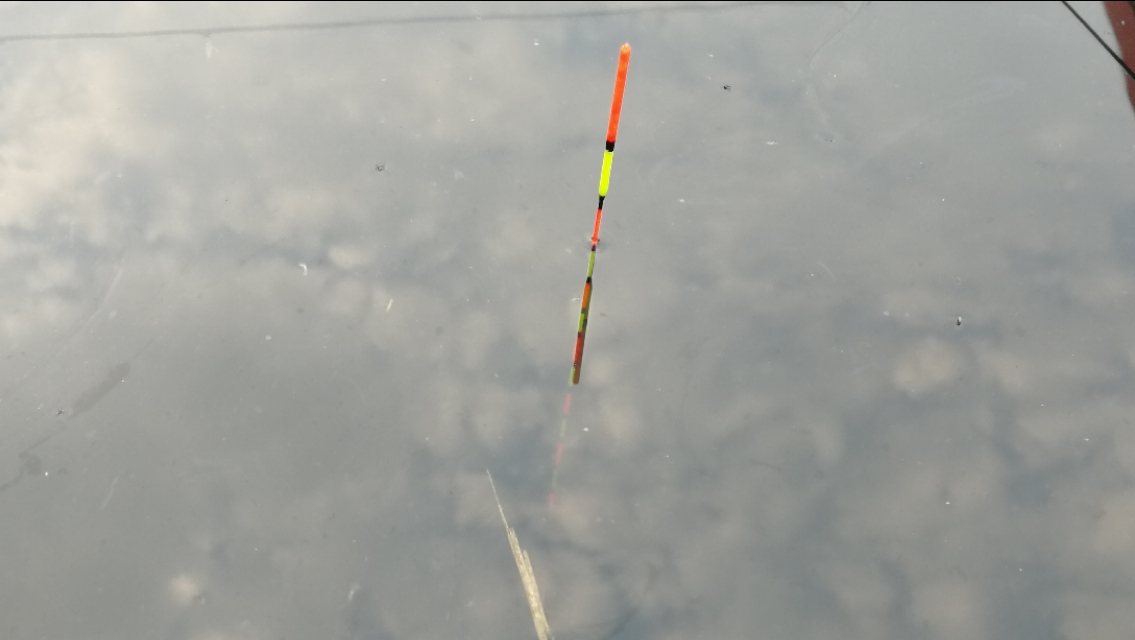 野钓最实用最快的万能调漂方法,新手野钓最简单实用调漂的方法