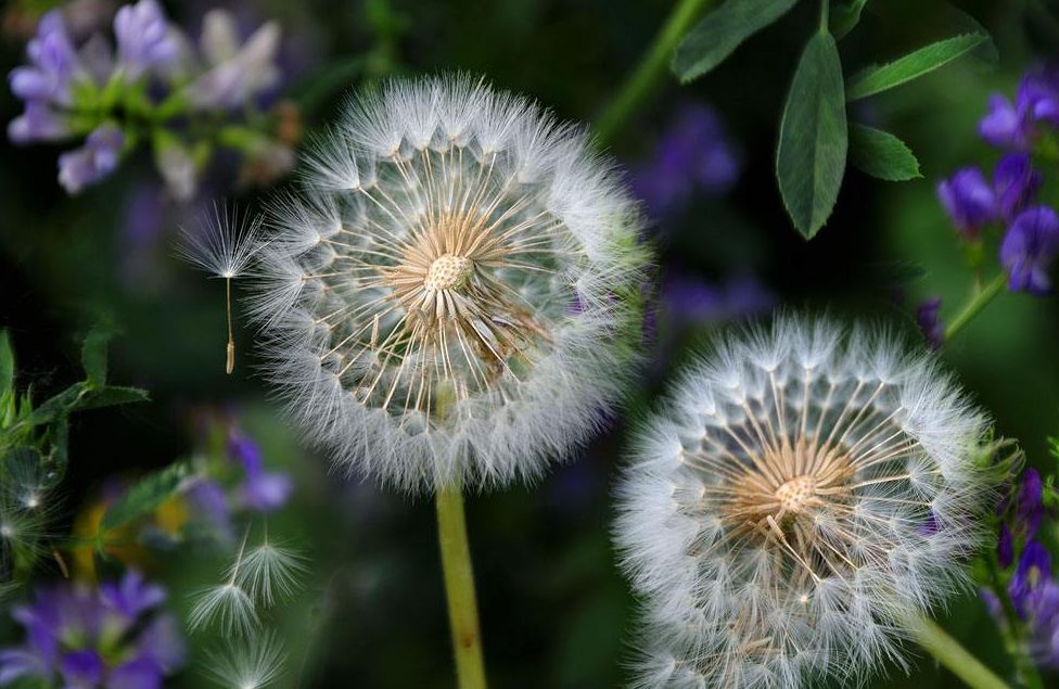 口腔专用香水,能持久留香的口腔香水