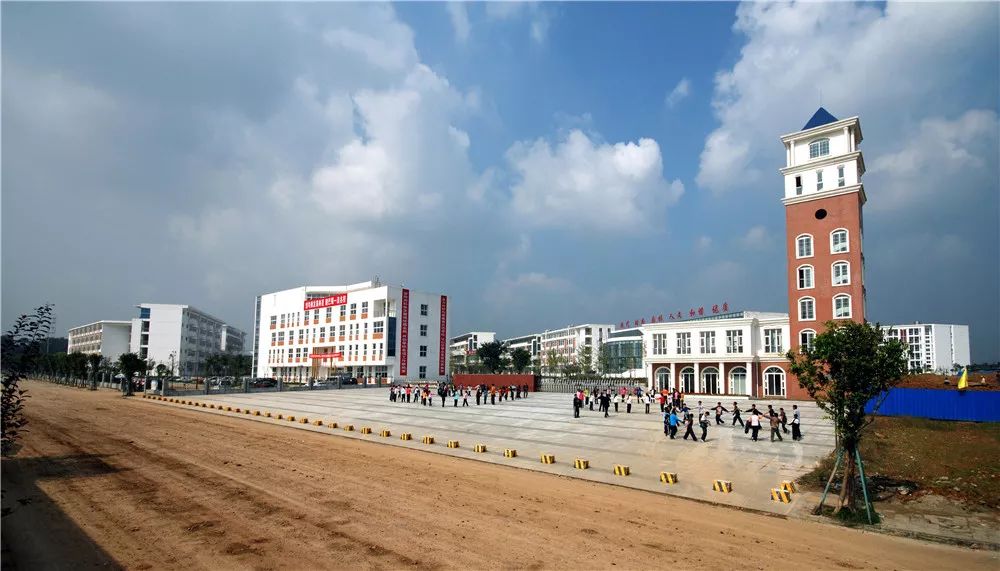 龙泉驿区的发展规划,龙泉驿区庆祝建党100周年活动