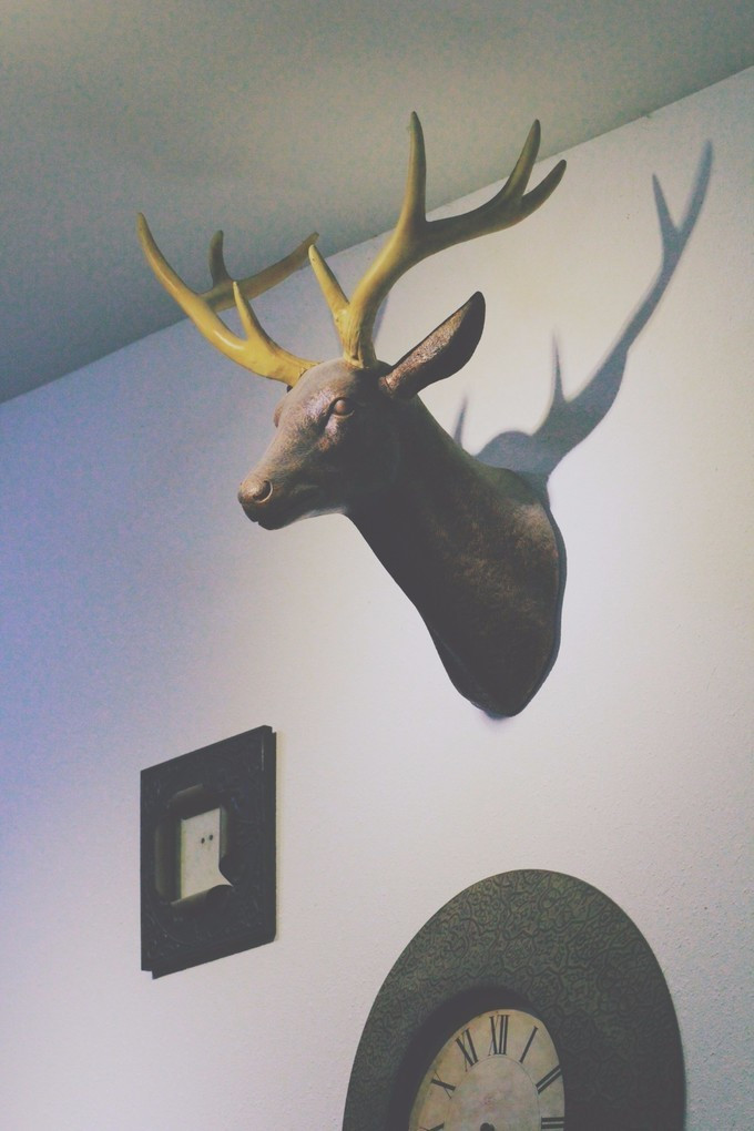 拥抱那片大海,拥抱这片海