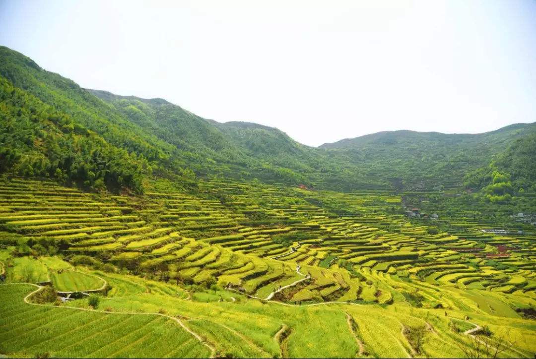 绍兴上虞覆卮山居民宿房间,嵊州覆卮山度假酒店