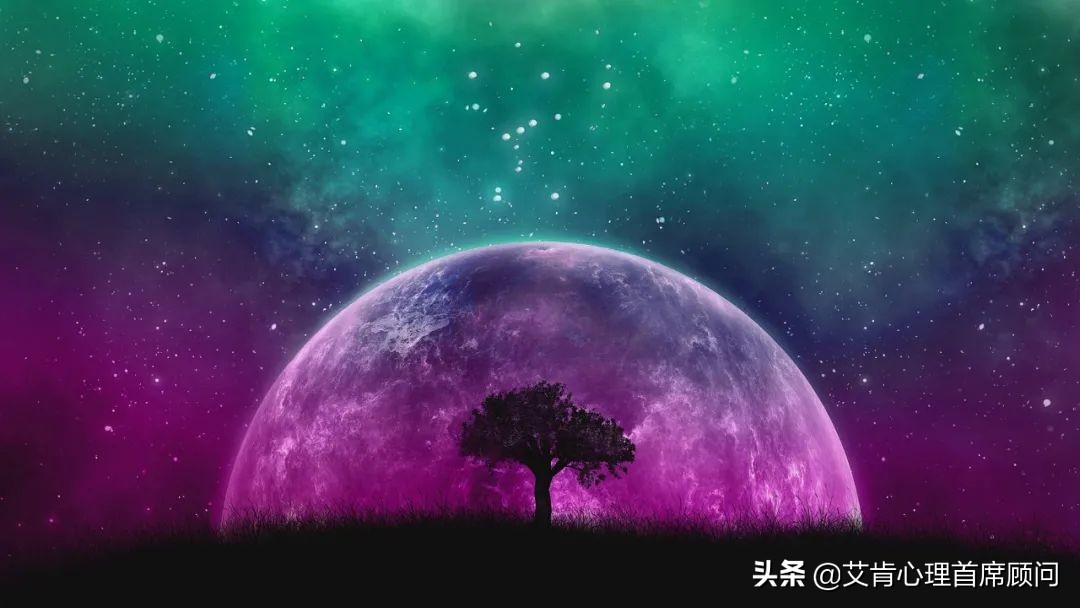 认识塔罗牌合集,认识塔罗牌的四要素