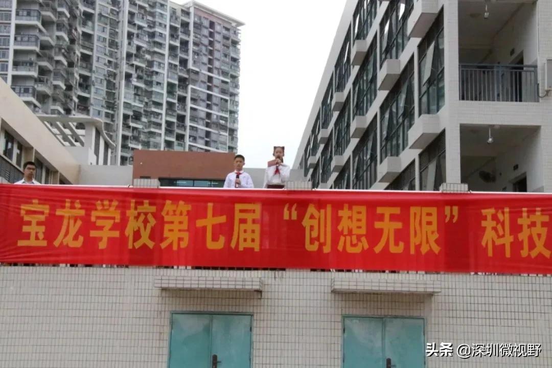 深圳市龙岗区宝龙学校怎样,龙岗宝龙学校学生