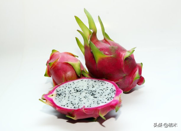 火龙果能在长江中下游一带种植吗,火龙果种植盆栽方法多长时间结果