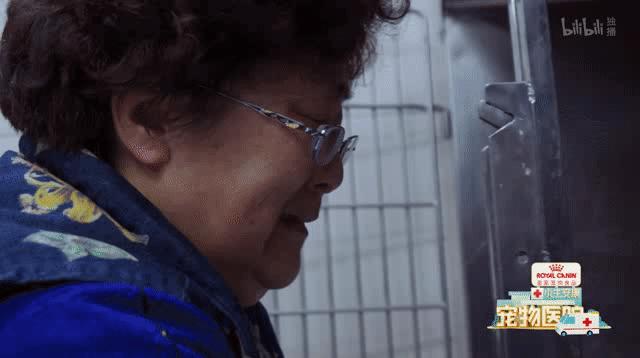 b站高分历史纪录片,2分钟一集的b站纪录片