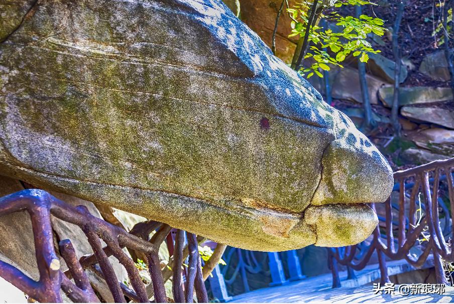 罗湖区最适合爬的山,绝美的风景在山顶