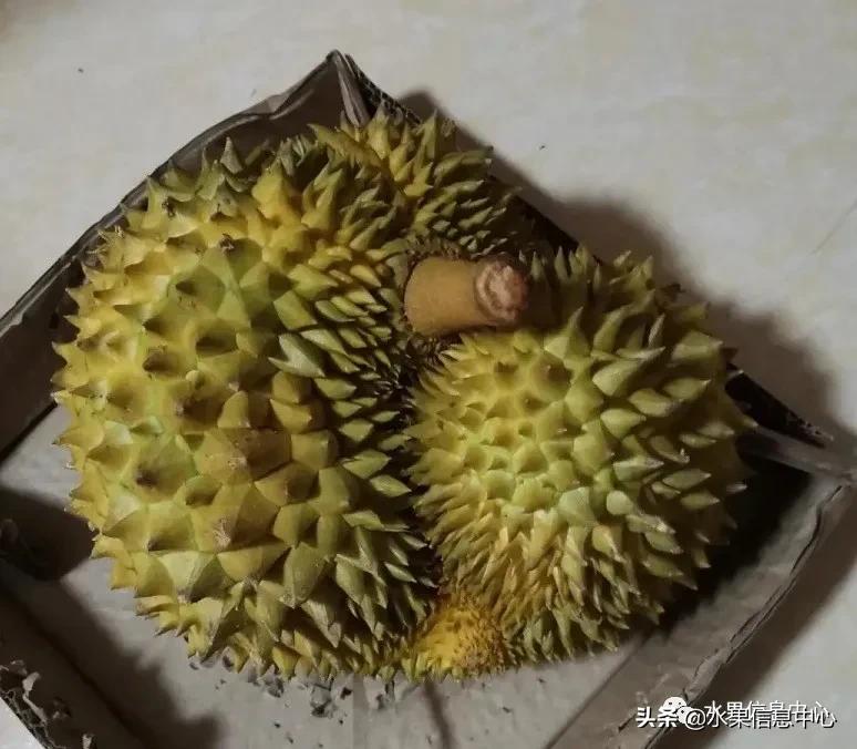 在网上买水果有哪些坑,在网上买水果划算吗