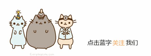 吉林打爆眼球的萨摩耶后续,萨摩耶被主人打爆眼球