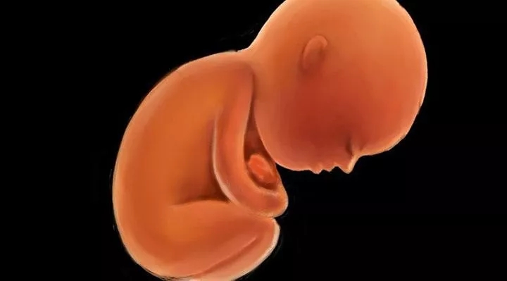 t3t4正常促甲状腺激素偏低正常吗,促甲状腺激素tsh偏低会有什么影响