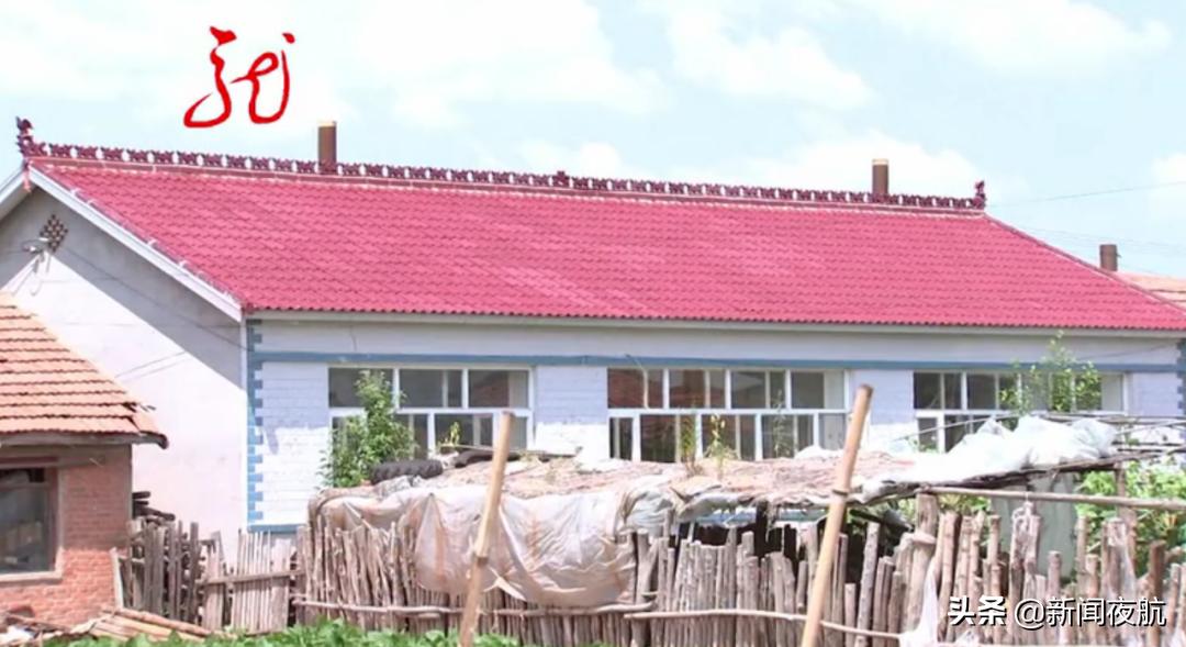 蝙蝠进入吓坏户主以为房子不干净,大量蝙蝠出现在房子