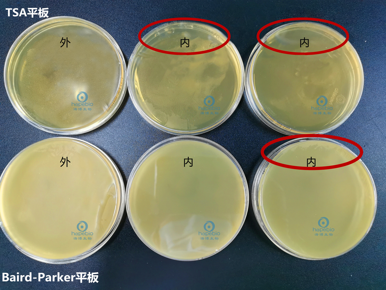 培养基失效的预防措施,平板被冻坏了怎么办