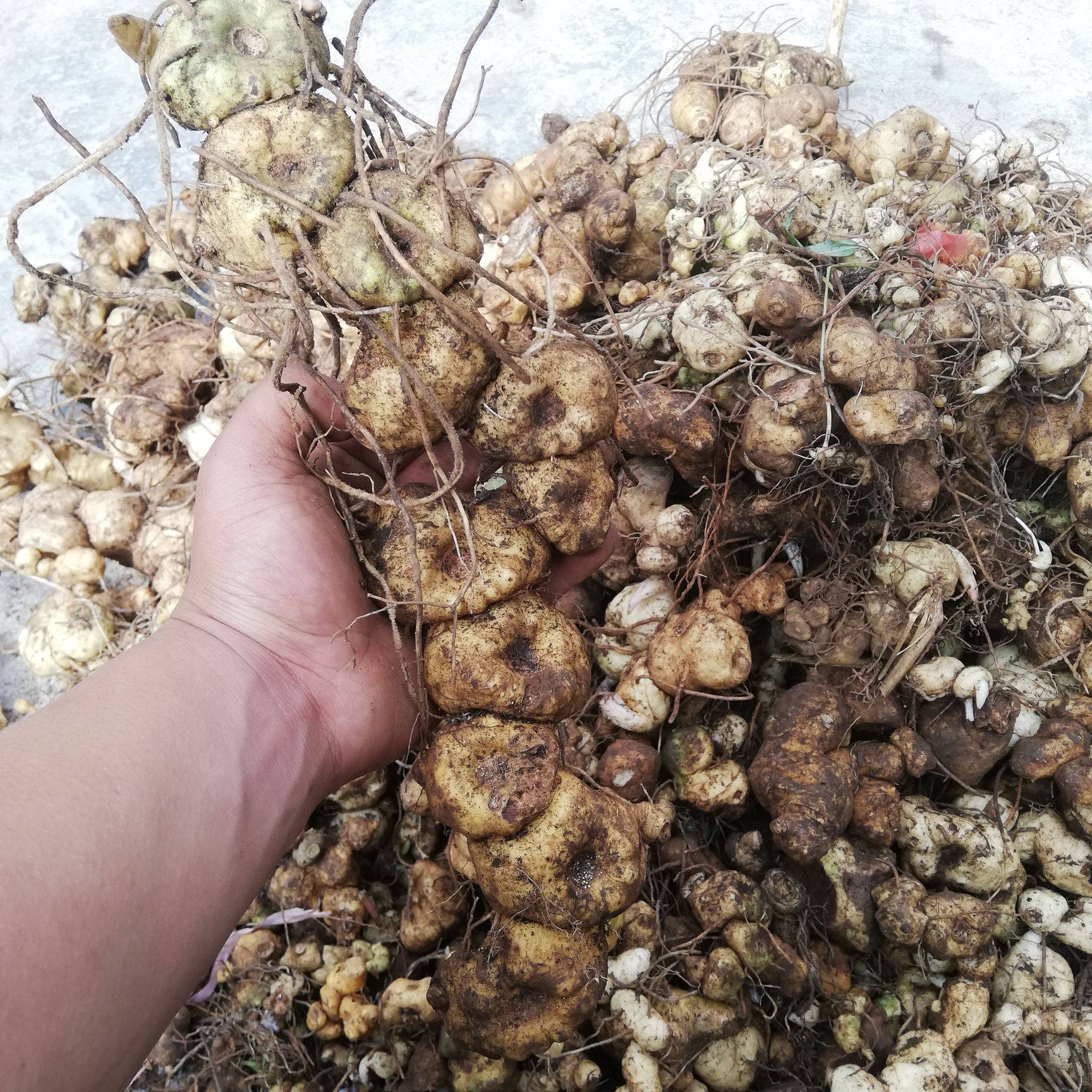 价格年年上涨，接近80元一斤，市场存货不多，网友：吃不起