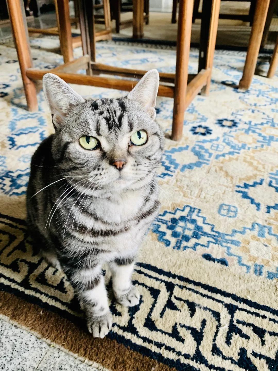 大家期盼的真实事件,掉缸事件怎么处理