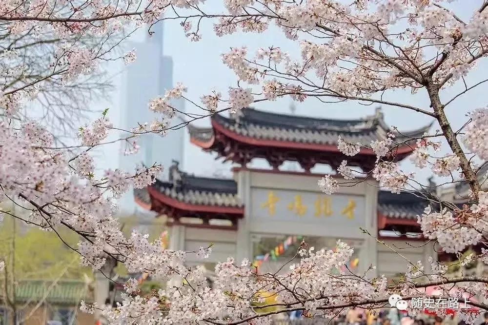 我有一个心愿叫金陵