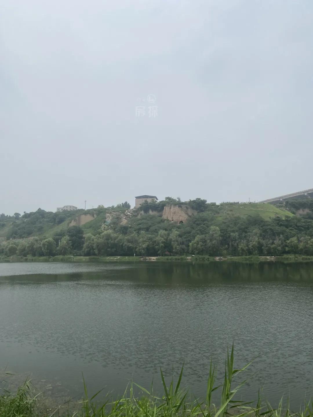 雁鸣湖板块房子明年走势咋样,暴走实探