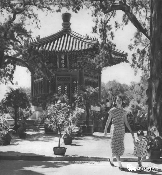 记忆中的北京绘画,这些画最能还原真实的老北京