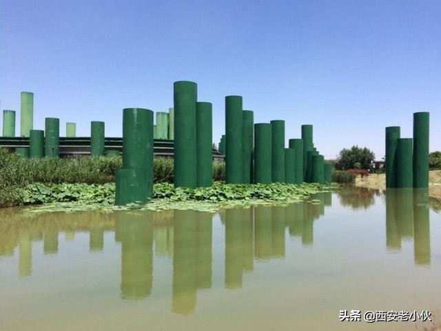 西安浐灞国家湿地公园招聘公告,西安浐灞国家湿地公园旅游