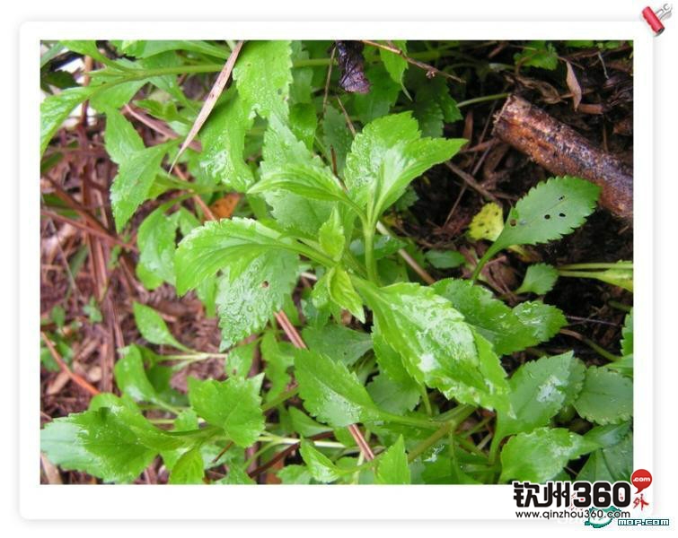 广西80后农村童年经典回忆,80后的童年回忆广西的农村生活