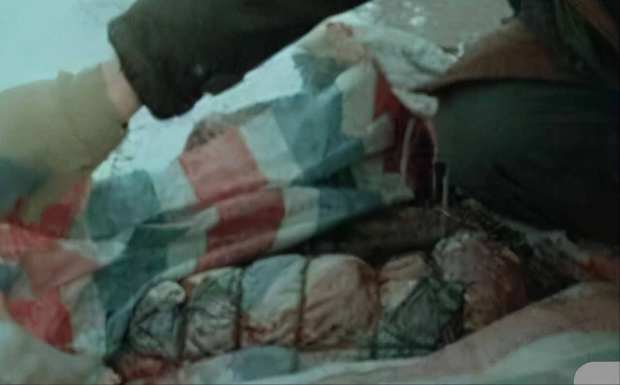 1996南京女大学生被害案回顾,96南京女大学生被害案回顾