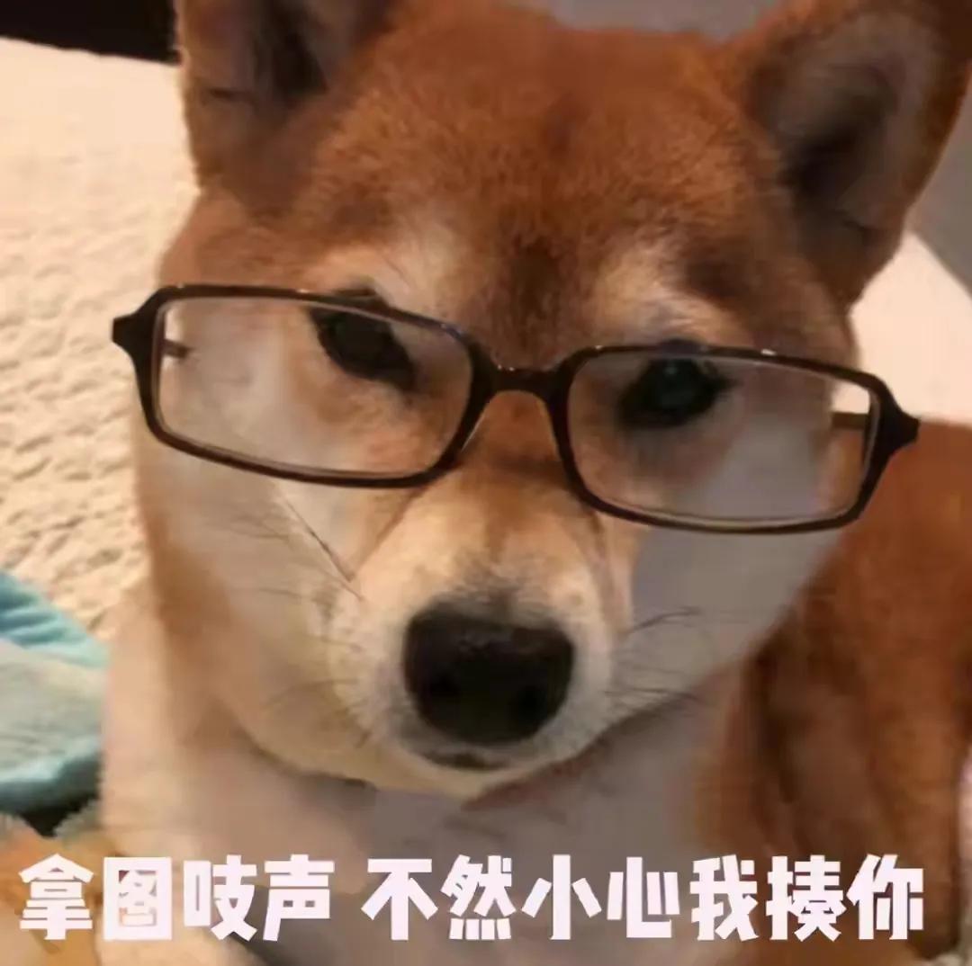 想撩我没那么容易该怎么回,撩对象沙雕表情包