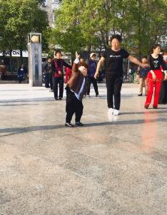 这两位大哥真牛，不知这树还能让他们爽多久