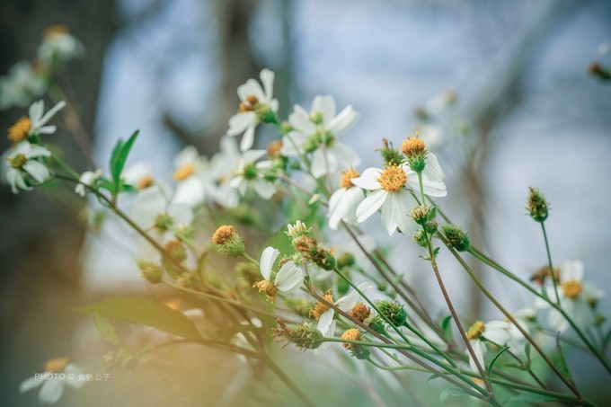 珠海横琴除了长隆还有什么东西玩,横琴有哪些景点可以玩儿