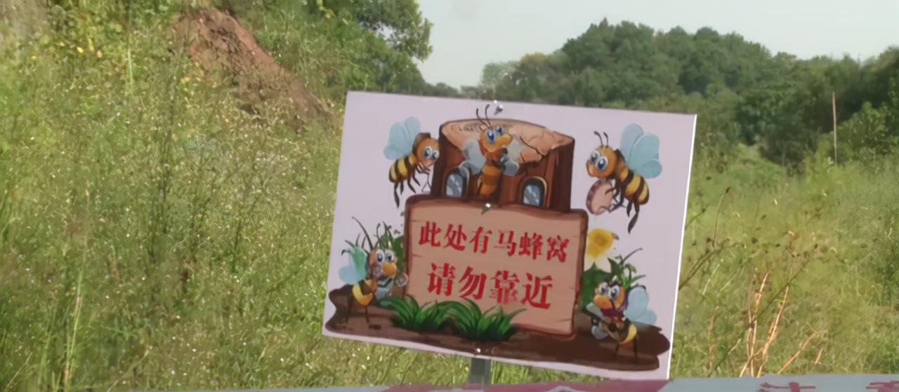 今年被马蜂蜇死多少人,多人被马蜂蜇伤目前已送医治疗