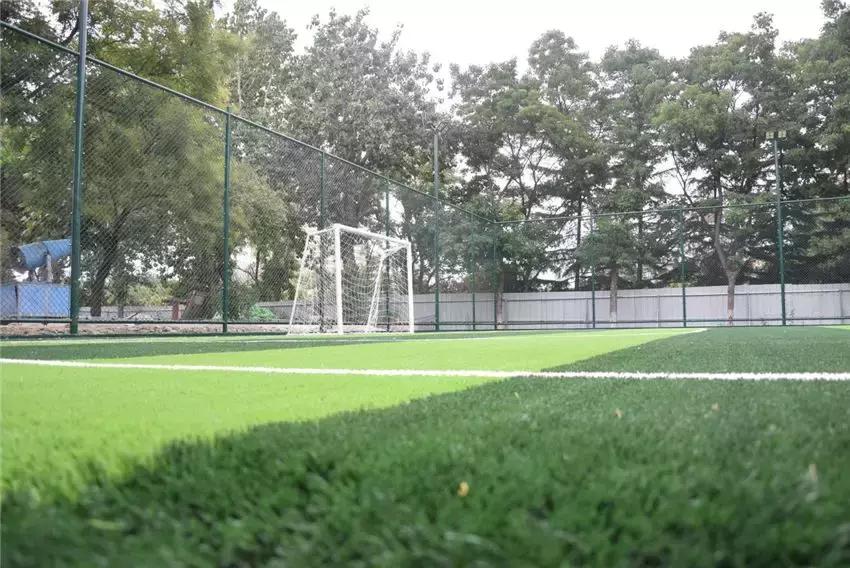 平顶山湛河足球场在哪里,平顶山哪个地方有足球场