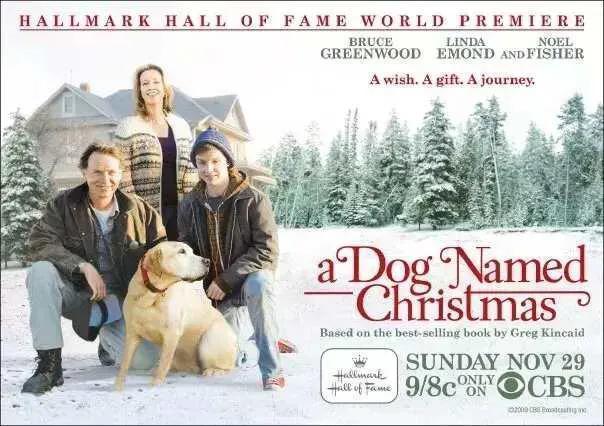 中国养狗的规矩,全国最严养狗条例