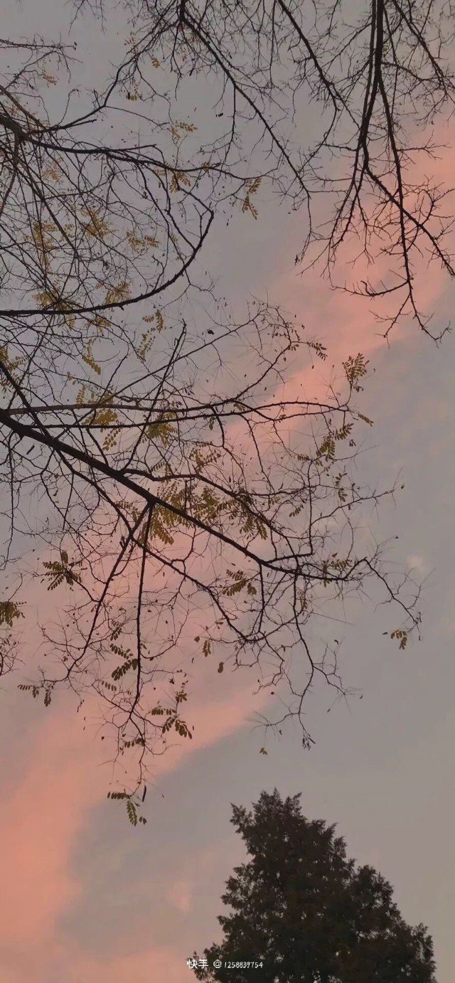 好看的微信聊天背景图男生,微信聊天背景图超清苹果