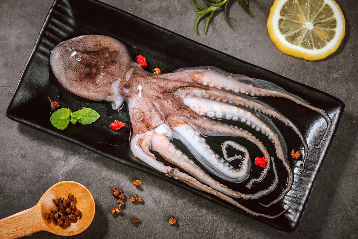 东盛澜丨乌贼和章鱼的区别