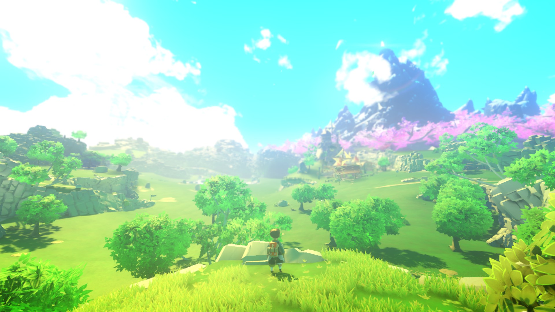 安卓手机switch模拟器,手机版switch模拟器该如何使用