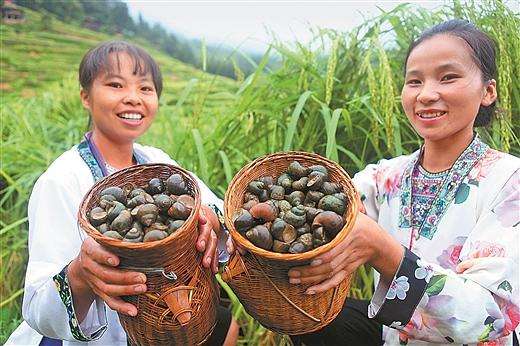 致富一亩地能赚3万多元,致富改变人生