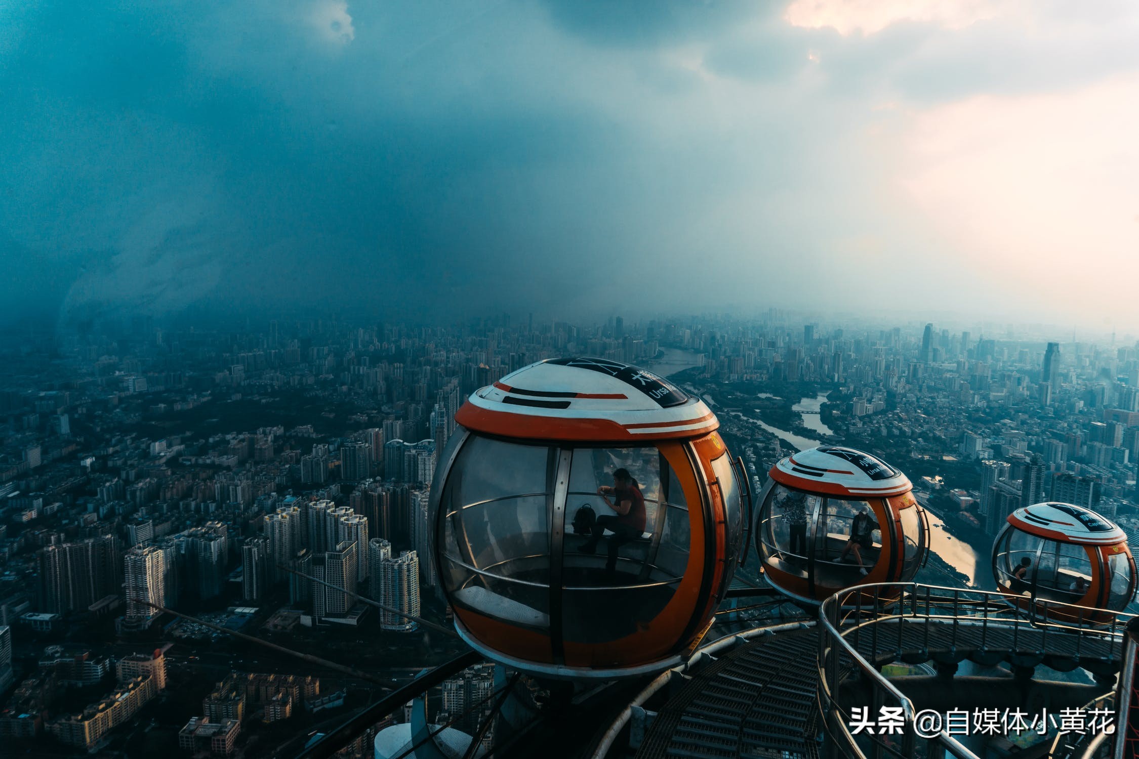 自媒体新手如何做账号运营,宠物自媒体运营思路