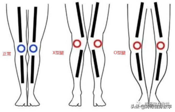 经期瘦肌肉腿最快方法3天,学生瘦肌肉腿方法1天见效