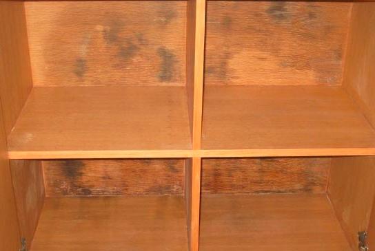 橱柜潮湿怎么消除,橱柜潮湿有异味怎么办