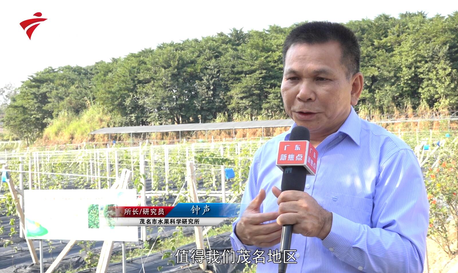 龙景农业,广东新闻联播经济社会发展