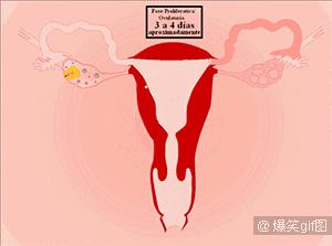 大姨妈结束几天之后流褐色的血,大姨妈11天了还在流黑色的血