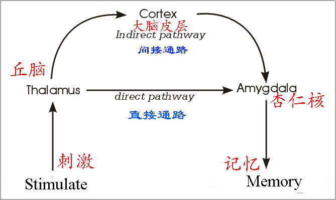 恐鸡症是什么原因,恐鸡症和羽毛恐惧症