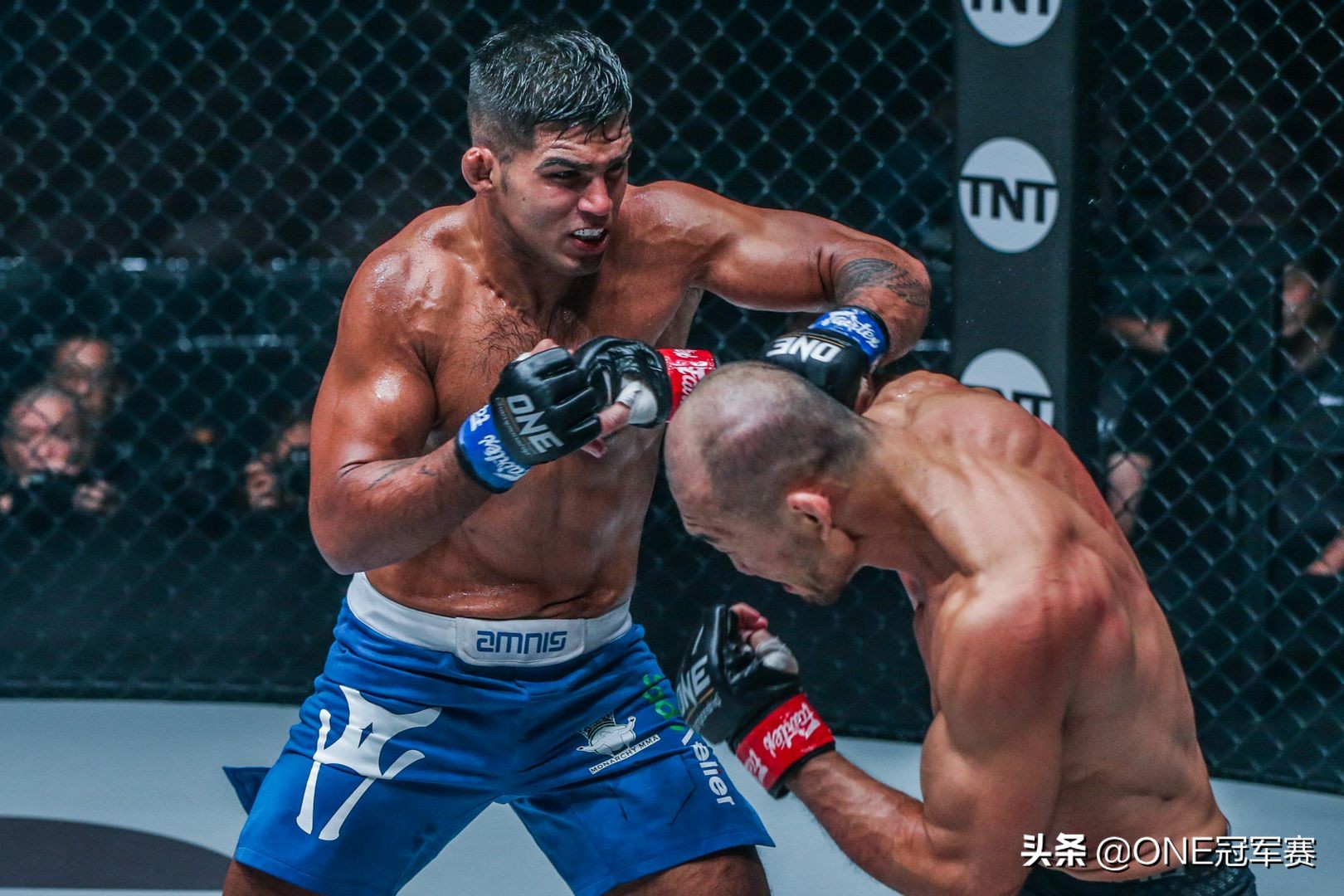 丹特-斯奇罗:我一拳都不会被击中,直接降服鳄鱼