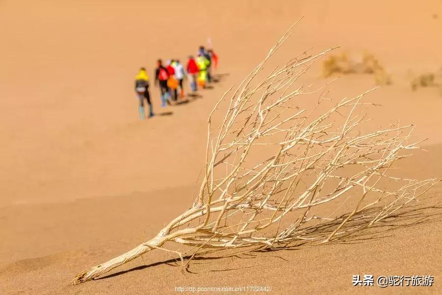 敦煌夜市现在还开吗,祝贺敦煌夜市开市