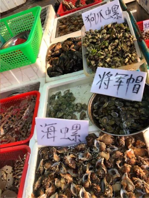 不出广州附近两天游玩景点推荐,广州出发最美海岛