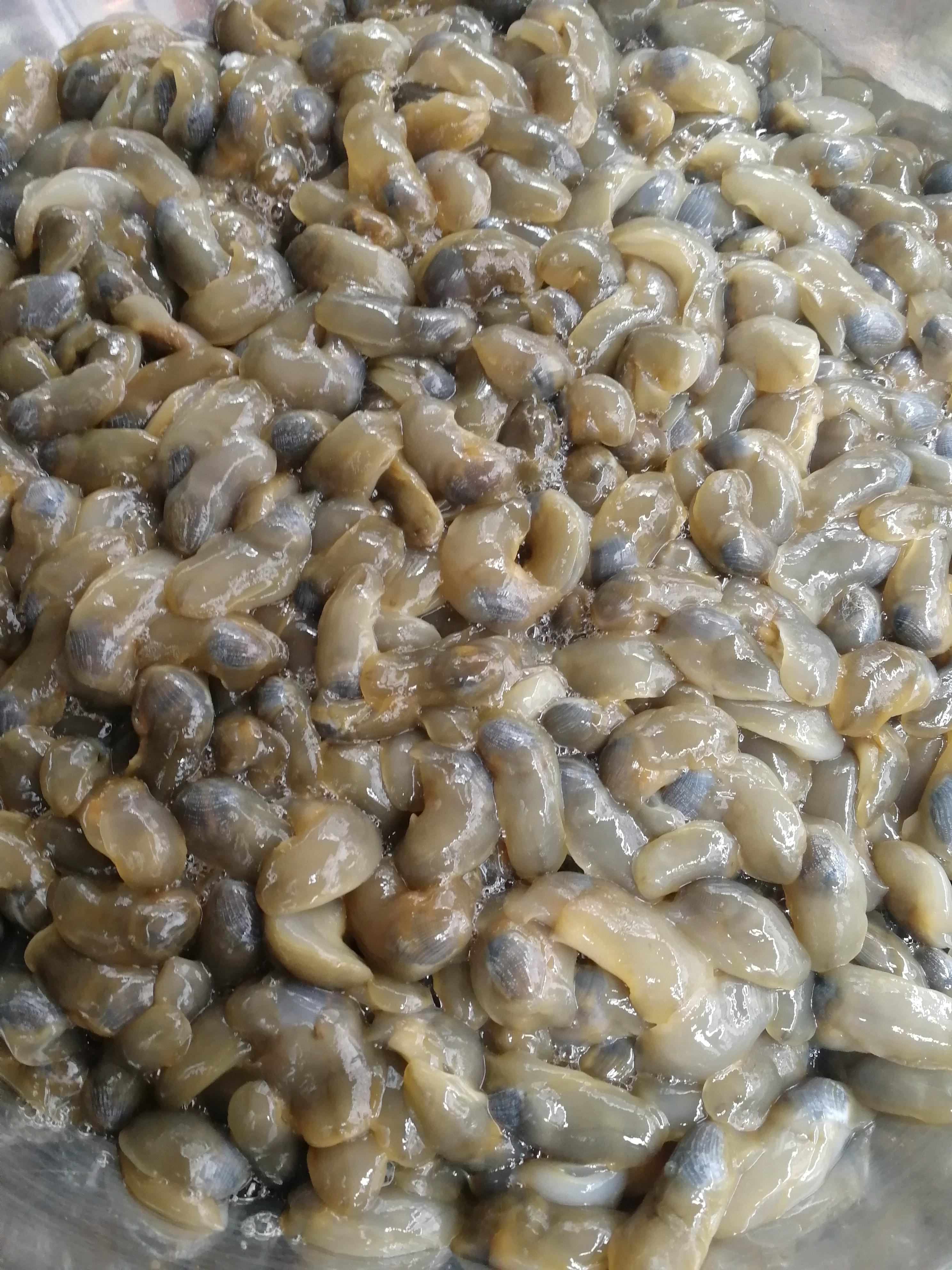 宁波老式菜,宁波泥螺批发