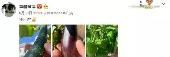 叶璇最近消息,叶璇目前的状态