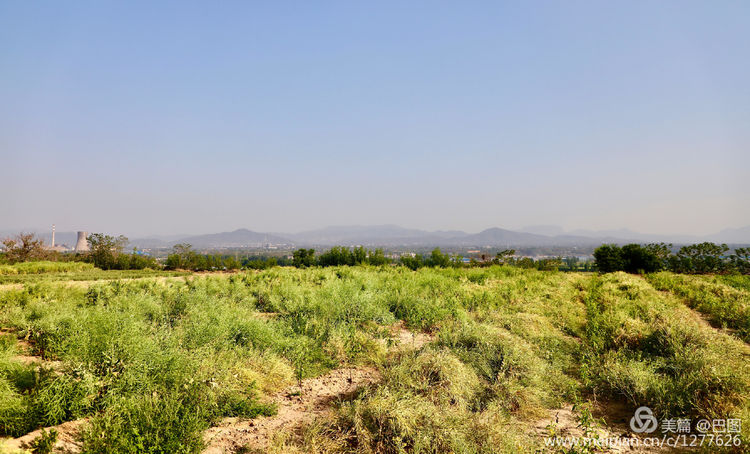 偃师巩义有哪些旅游景点,洛阳偃师旅游景点大全介绍