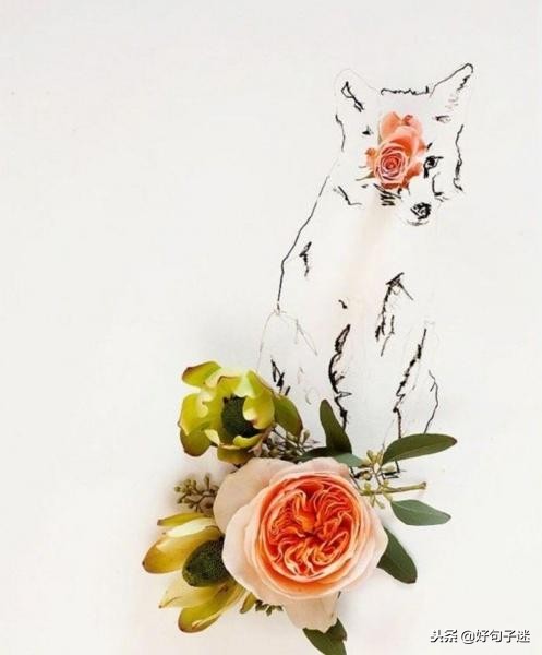 简短签名有深意有内涵,经典签名一句话哲理